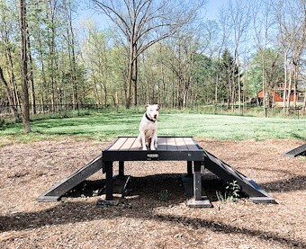 Dog Park at Jellystone Park™ West Georgia