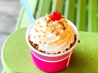 Pint of Homemade Ice Cream at Jellystone Park™ Tabor City