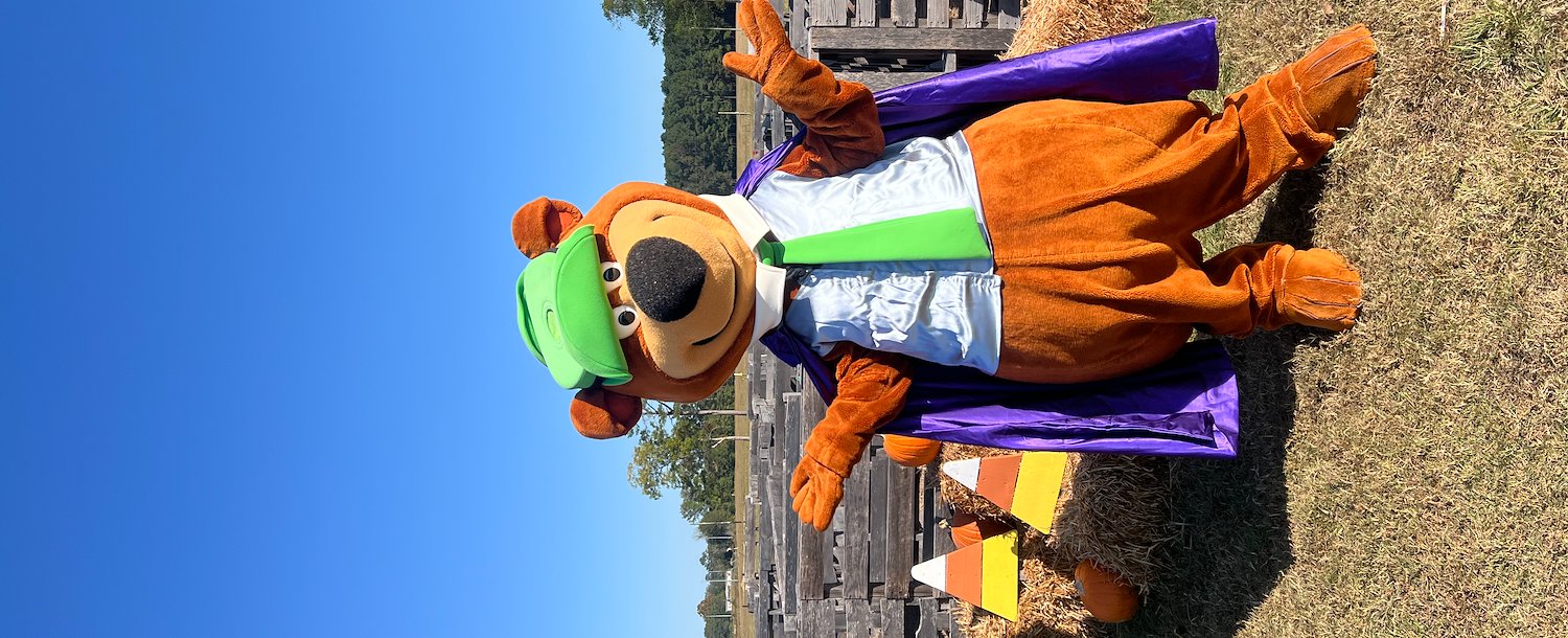 Themed Events at Camp Jellystone!