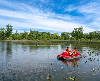 Water Rentals of Jellystone Park™ Barton Lake