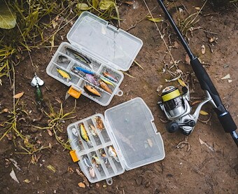 Bait Shoppe in Jellystone Park™ Pierceton