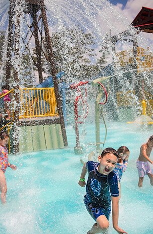 Play at Camp Jellystone!