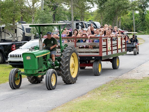 Wagon Rides at Jellystone Park Lake Charles