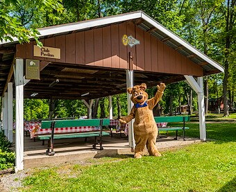 Boo Boo Pavilion at Jellystone Park™ Milton