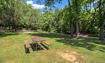 Tent Sites at Jellystone Park™ Mammoth Cave 