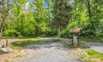 Tent Sites at Jellystone Park™ Williamsport