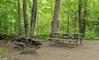 Tent Sites at Jellystone Park™ Androscoggin Lake