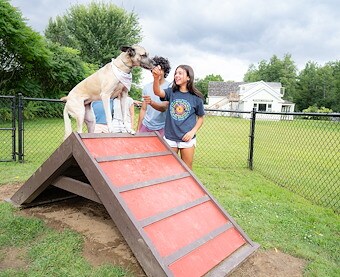 Dog Park in Jellystone Park™ Skowhegan