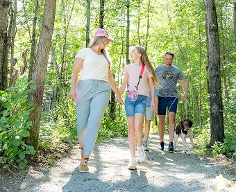 Scenic Walks on Nature Trails