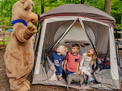 Stay Your Way at Jellystone Park™ Lake of the North