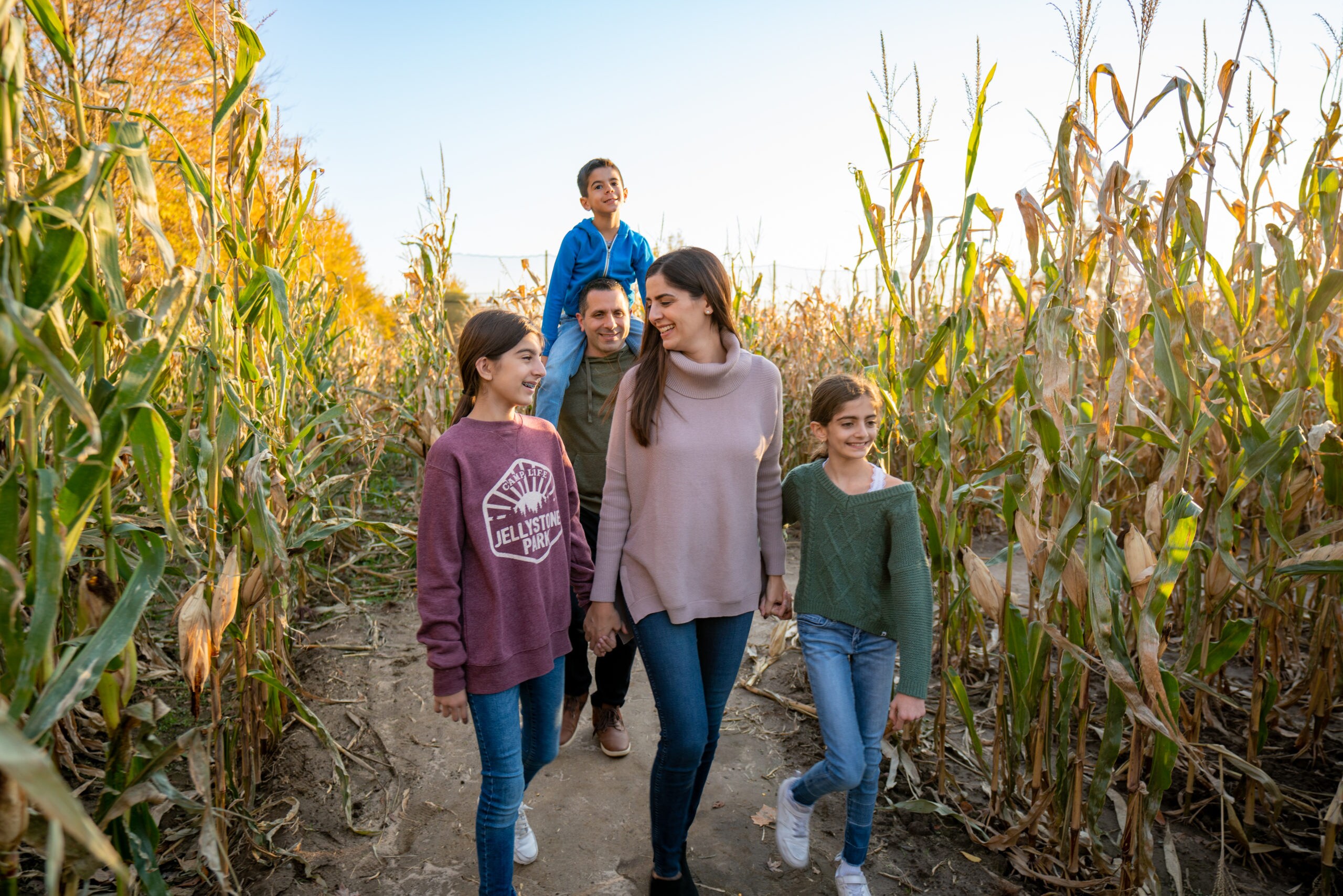 Corn Maze at Jellystone Park™ South Haven