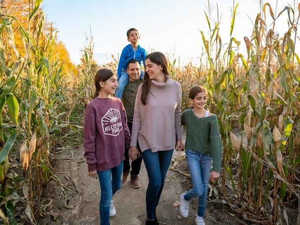 Corn Maze at Jellystone Park™ South Haven