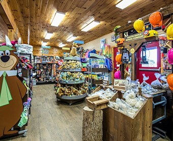 Ranger Station in Jellystone Park™ South Haven