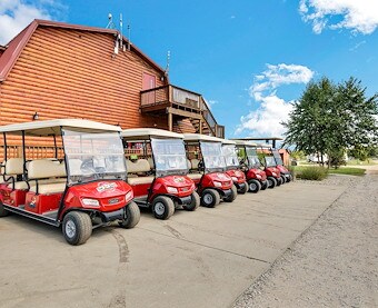 Golf Cart Rental at Jellystone Park™ South Haven