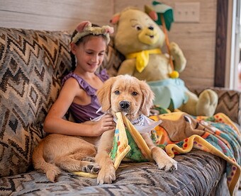 Cottage and Cabin Pet Fees at Jellystone Park™ St. Louis West