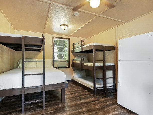 Camping Cabin at Jellystone Park Eureka - 3