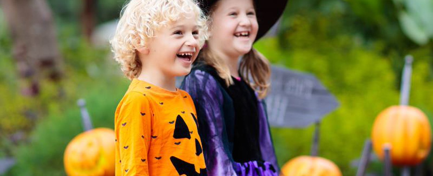 Themed Events at Camp Jellystone!