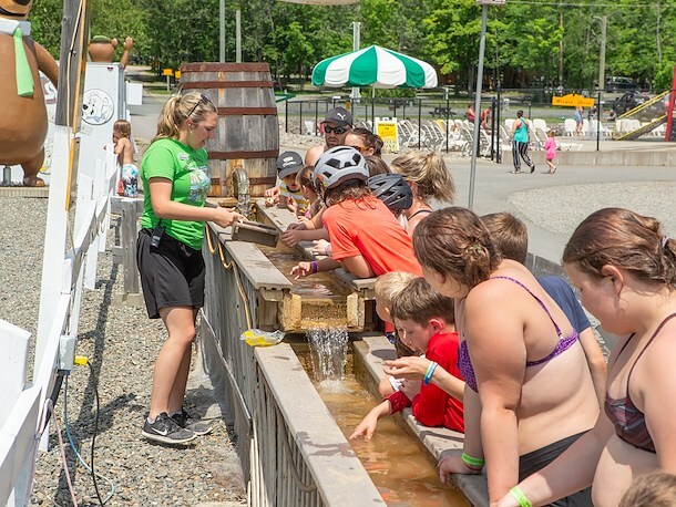 Gem Mining at Jellystone Park™ Woodstock