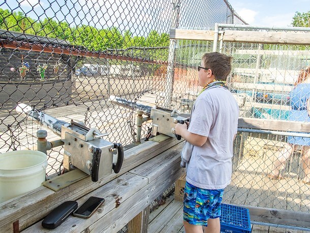 Target Tag at Jellystone Park™ Woodstock