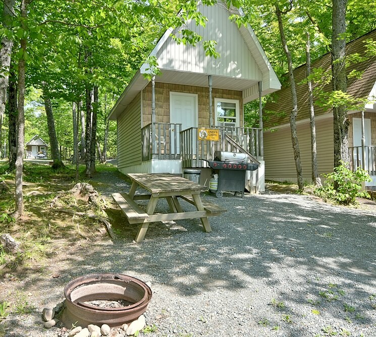 Camping Cabin Special at Jellystone Park™ Woodstock