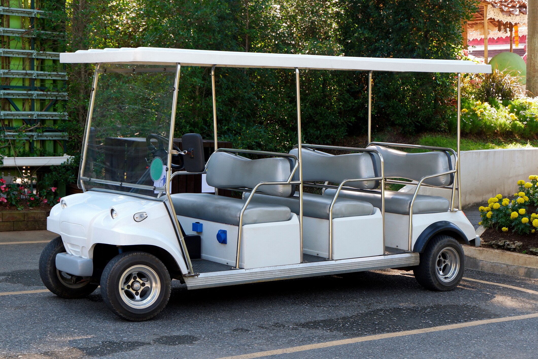 Limo Carts at Camp Jellystone