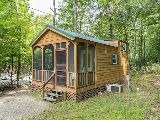 Black Bear Cabin - 1