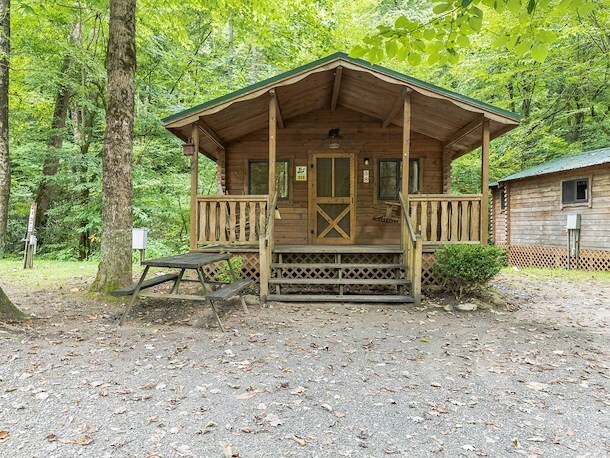 Jellystone Park™ Cottage - 1