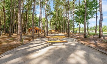 Tent Sites at Jellystone Park™ Tabor City