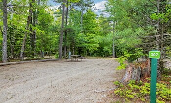 RV Sites at Jellystone Park™ Lakes Region
