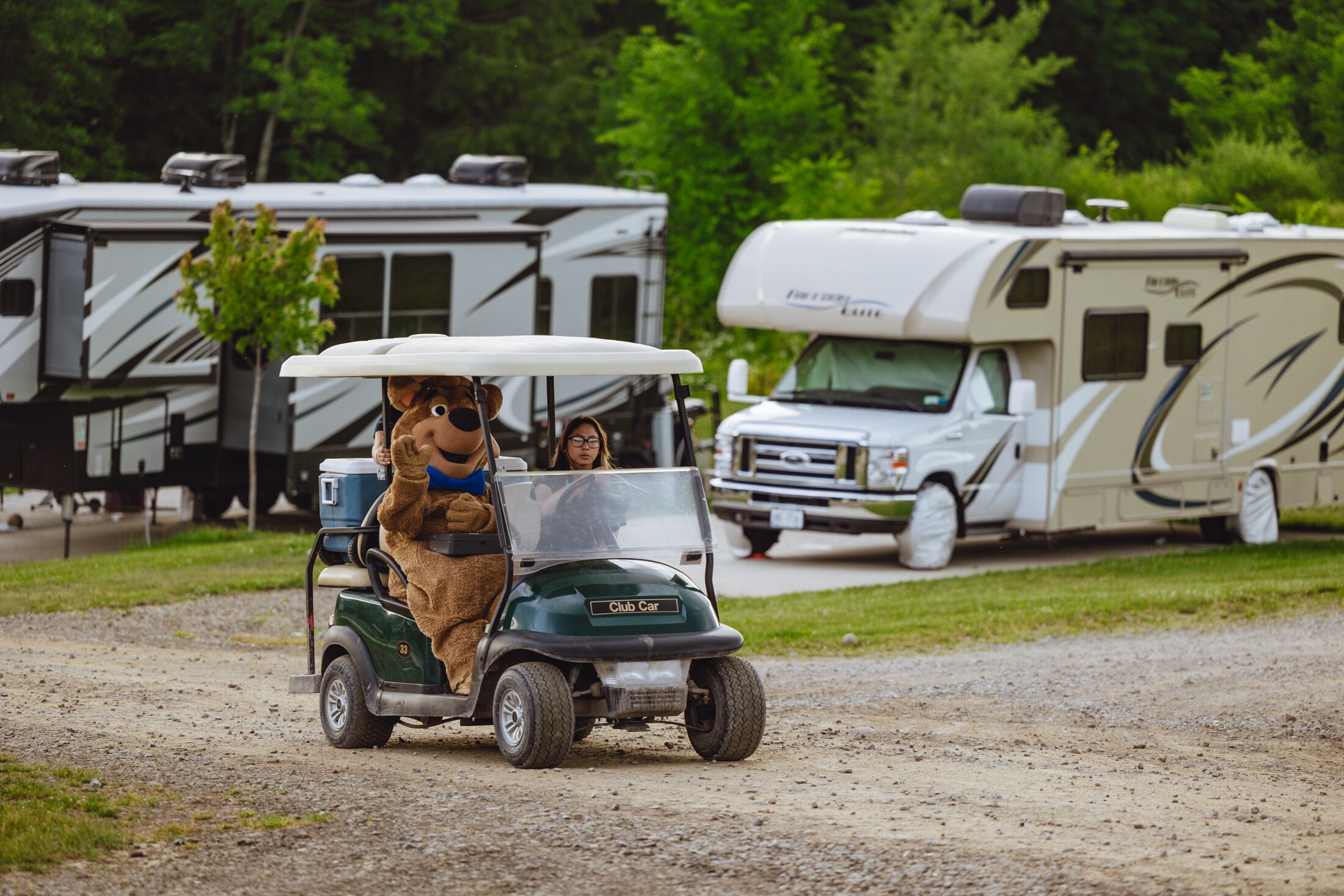 Golf Carts at Camp Jellystone!