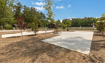 Premium Back-In RV/Tent Site at Jellystone Park™ South Jersey