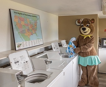 Laundry Station at Jellystone Park™ Nova Scotia