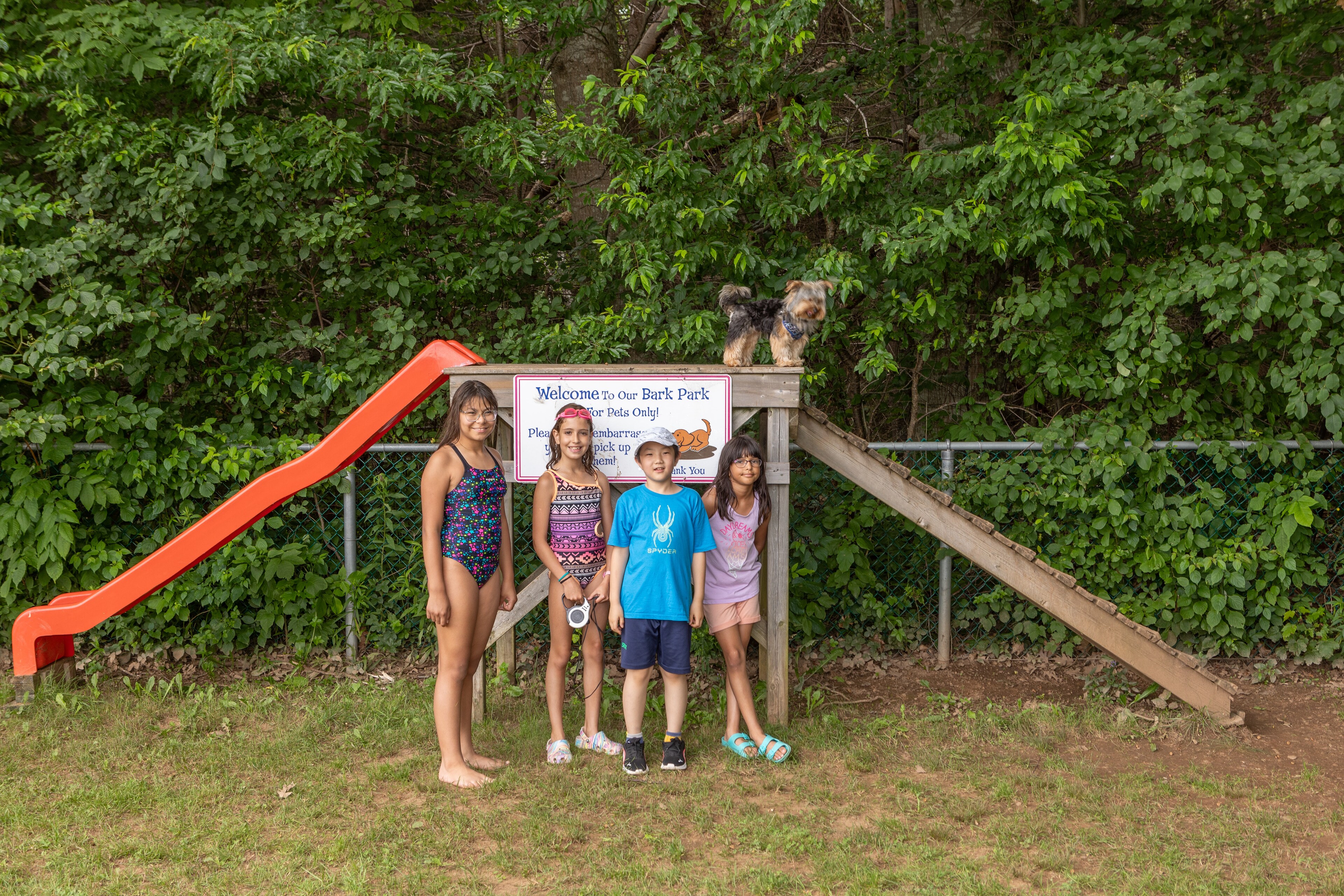 Dog Park at Jellystone Park™ Kingston