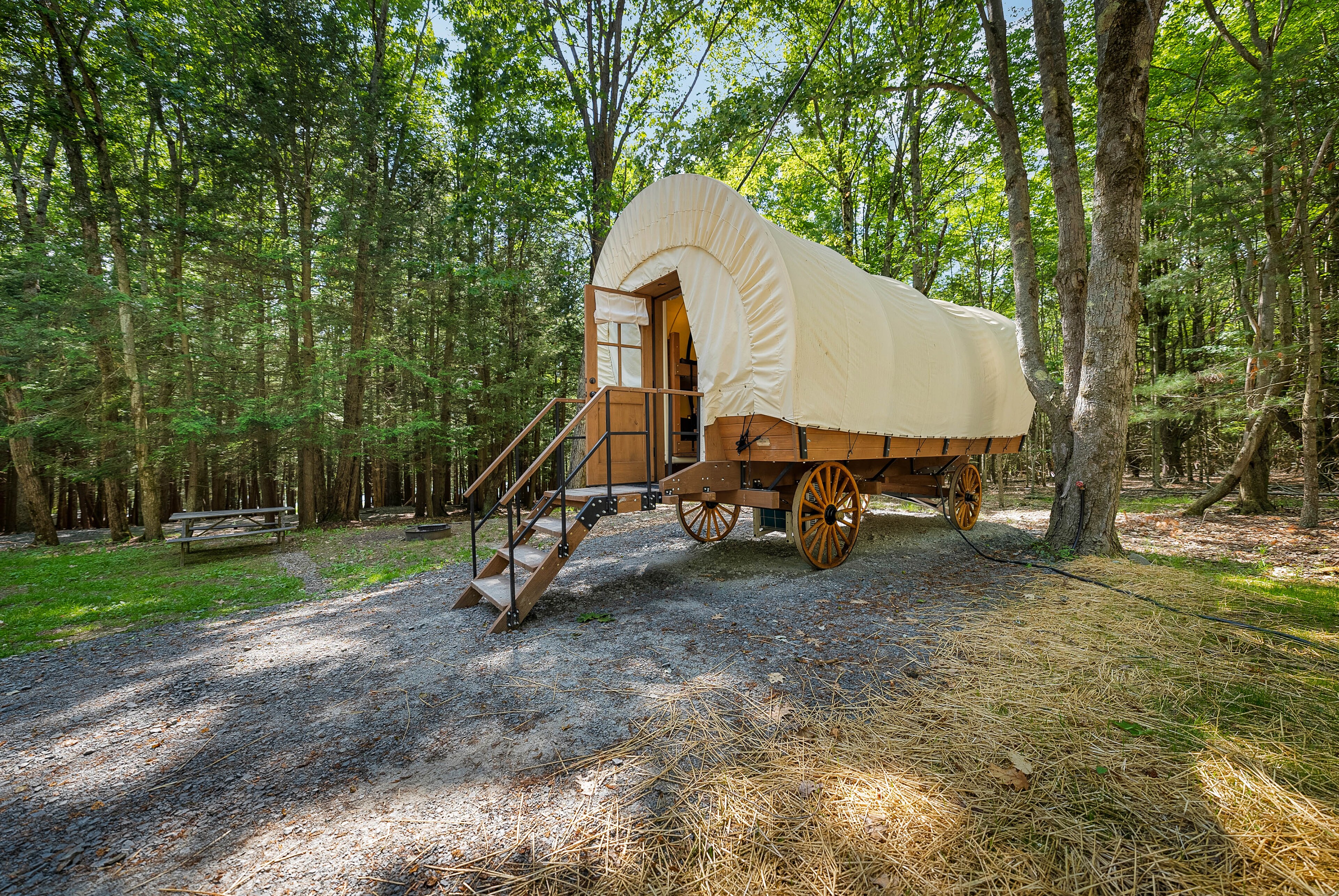 Stay Your Way at Jellystone Park™ Binghamton