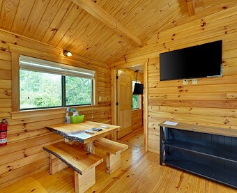 Cable/Satellite TV at Jellystone Park Chautauqua