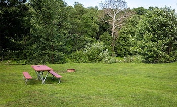 Tent Sites at Jellystone Park™ Gardiner