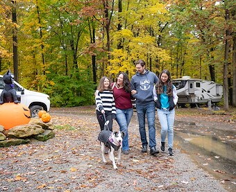 Pet Friendly at Jellystone Park™ Western New York