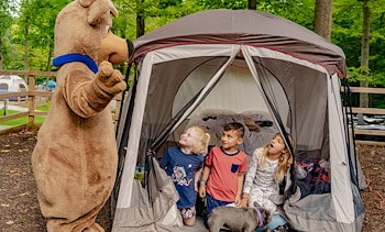 Tent Sites in Jellystone Park™ Akron-Canton