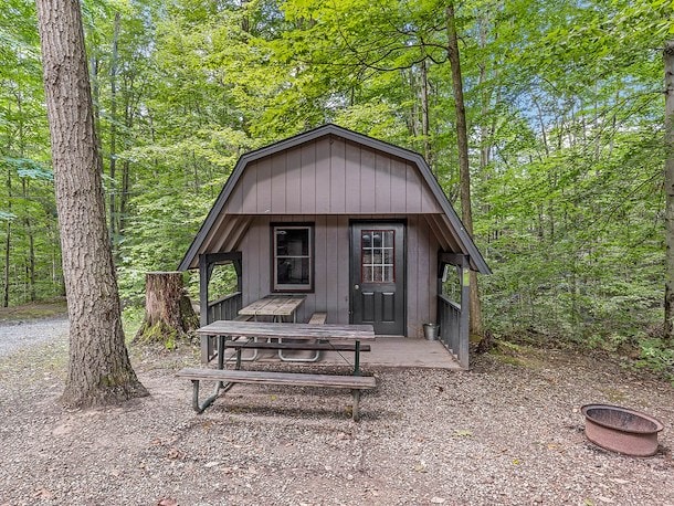 Rustic Cabin - 1