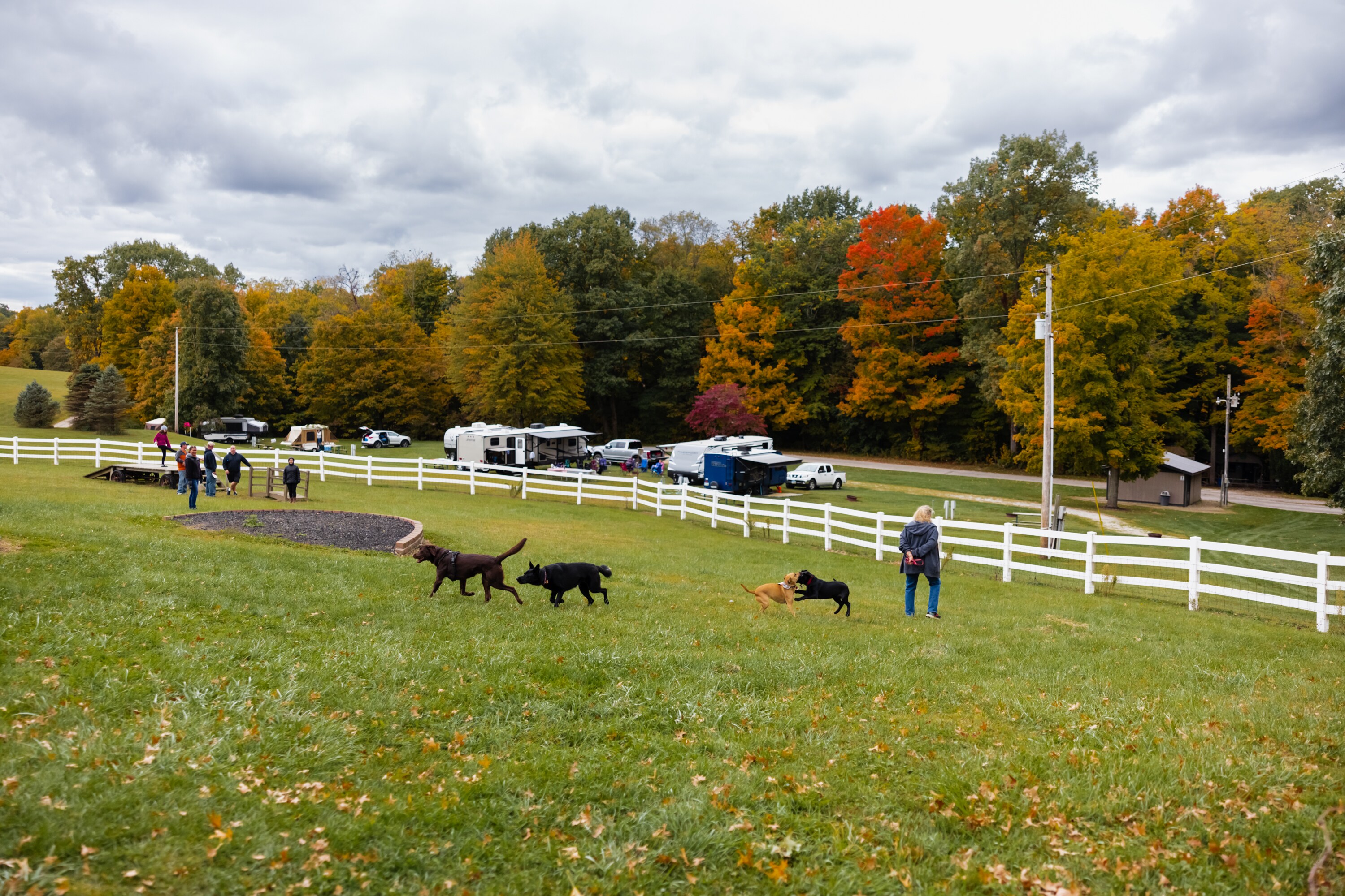 Dog Park at Jellystone Park™ Holmes County