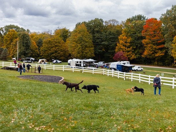 Dog Park at Jellystone Park™ Holmes County