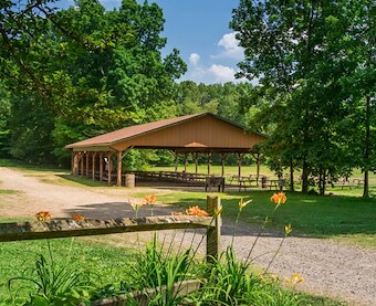 Fox Run Pavilion at Jellystone Park™ Clay's Resort