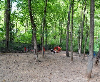 Themed Events at Jellystone Park™ Quarryville