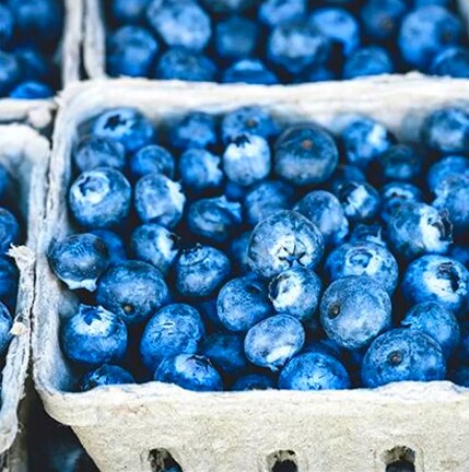 Amish Farmers Market