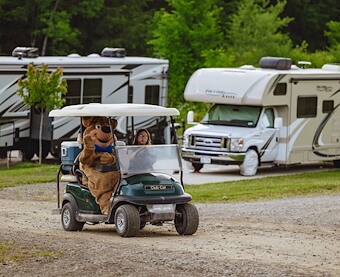 Golf Cart Rentals of Jellystone Park™ Lancaster County