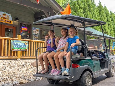 Park Information of Jellystone Park™ Pigeon Forge