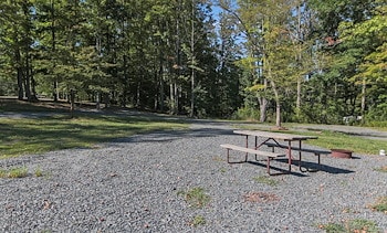 Tent Sites at Jellystone Park™ Pennsylvania Wilds