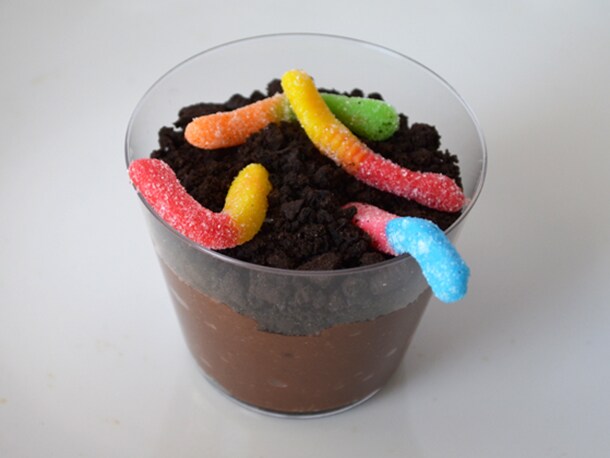 Cup of Dirt in Jellystone Park