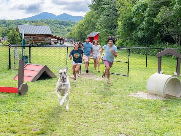 Dog Runs and Parks at Jellystone Park