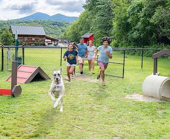 Themed Events at Jellystone Park™ Lancaster County